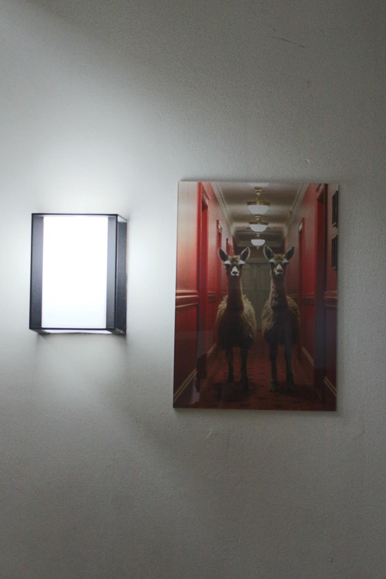 Guanako Hostel Santiago Dış mekan fotoğraf